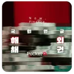 국민연금해외채권